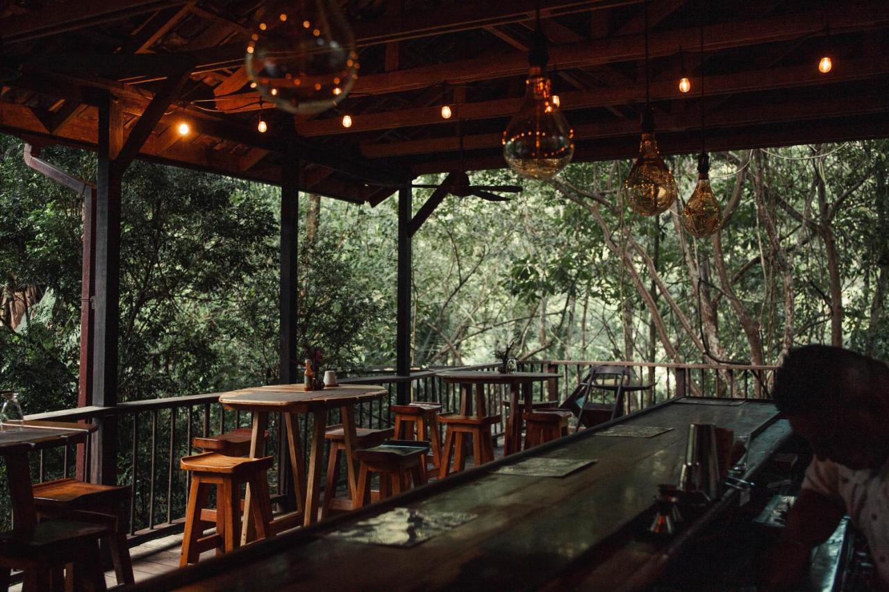 Sweet Songs Jungle Lodge サン・イグナシオ エクステリア 写真