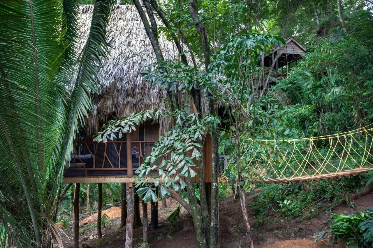 Sweet Songs Jungle Lodge サン・イグナシオ エクステリア 写真