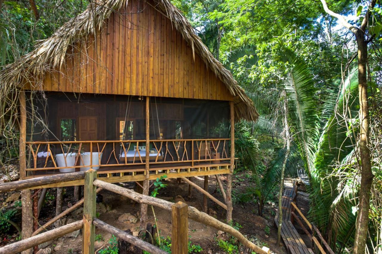 Sweet Songs Jungle Lodge サン・イグナシオ エクステリア 写真