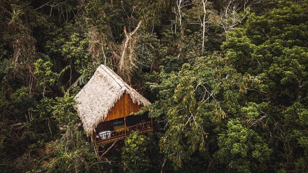 Sweet Songs Jungle Lodge サン・イグナシオ エクステリア 写真