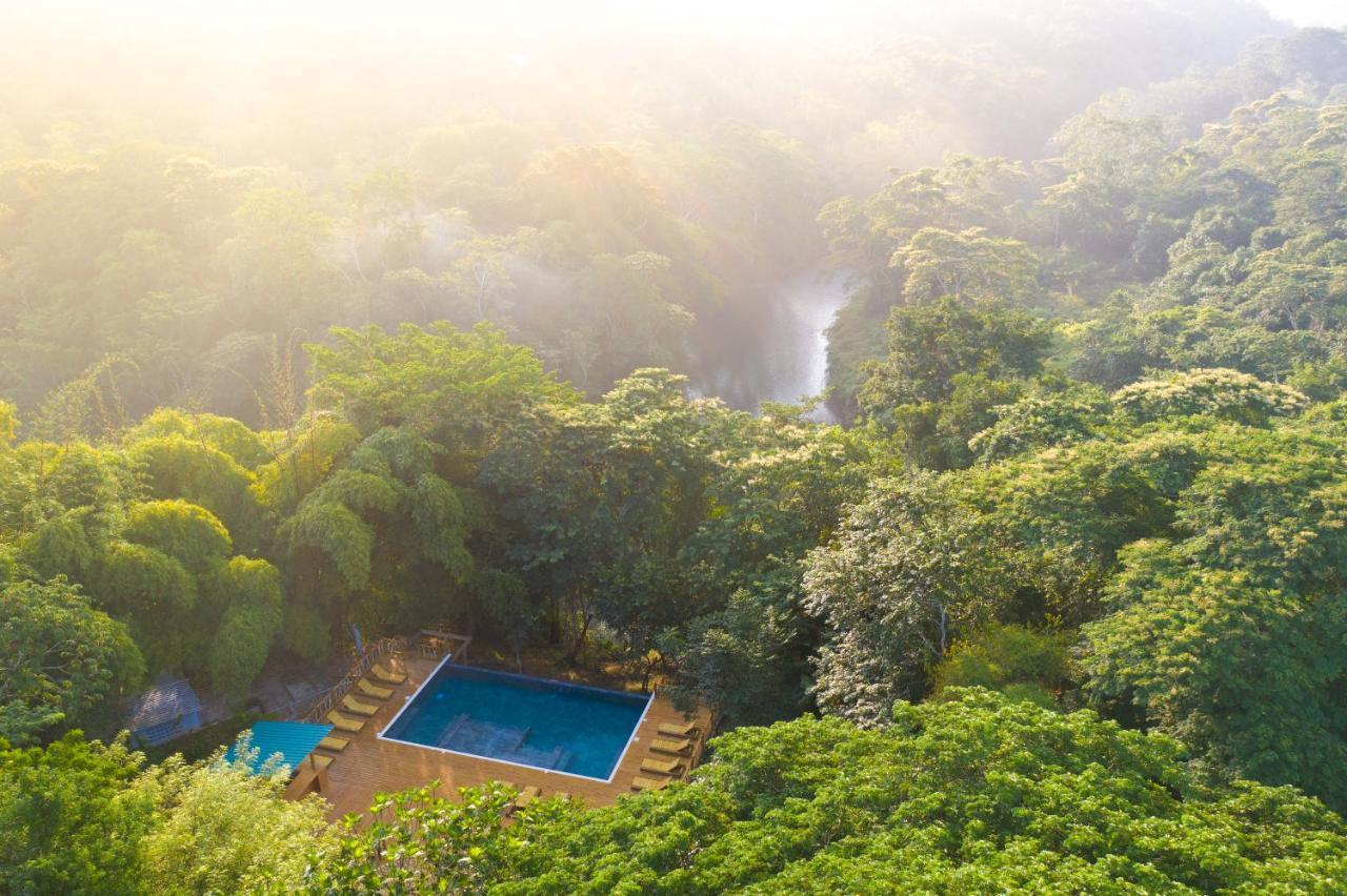 Sweet Songs Jungle Lodge サン・イグナシオ エクステリア 写真