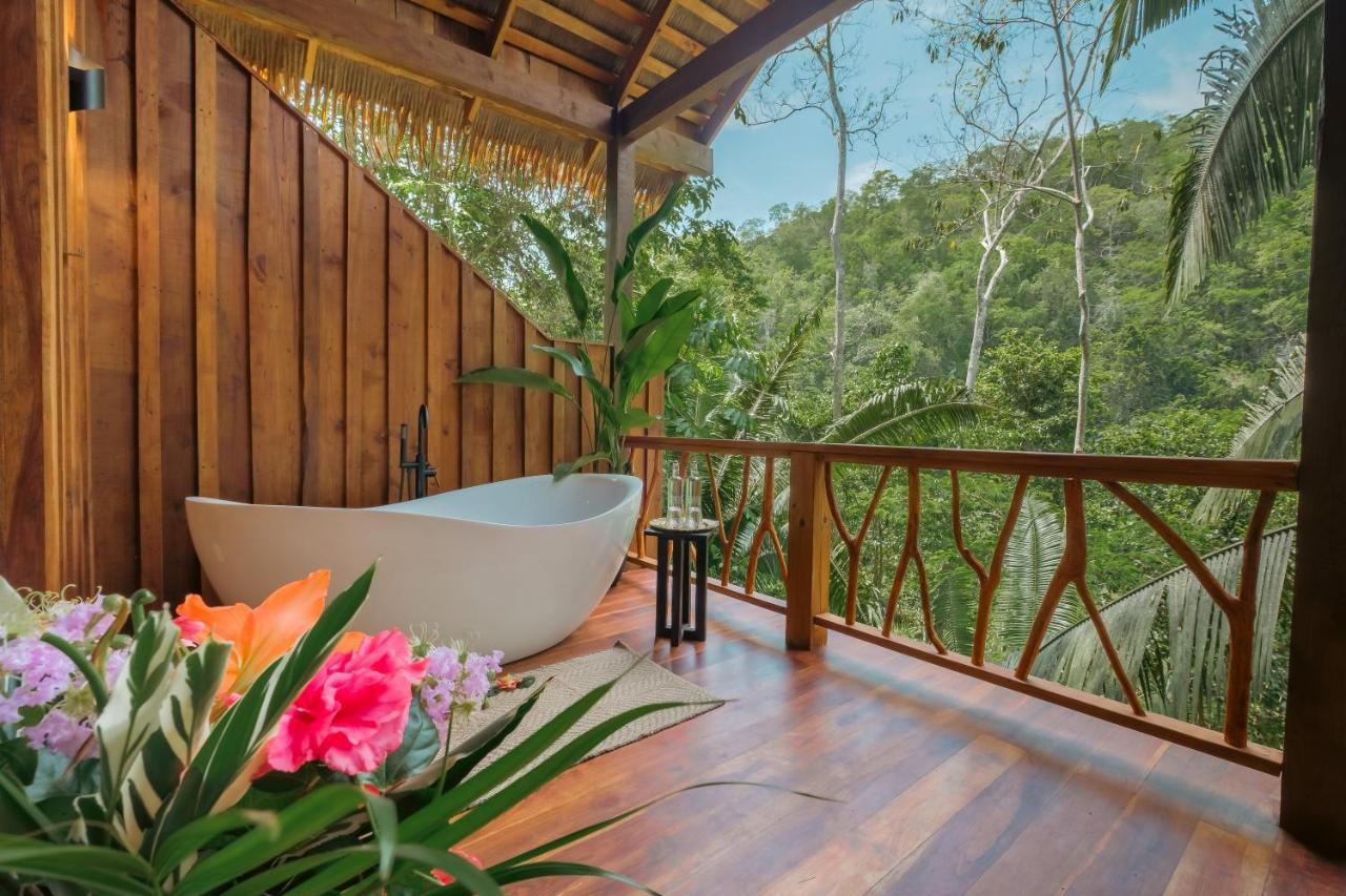 Sweet Songs Jungle Lodge サン・イグナシオ エクステリア 写真