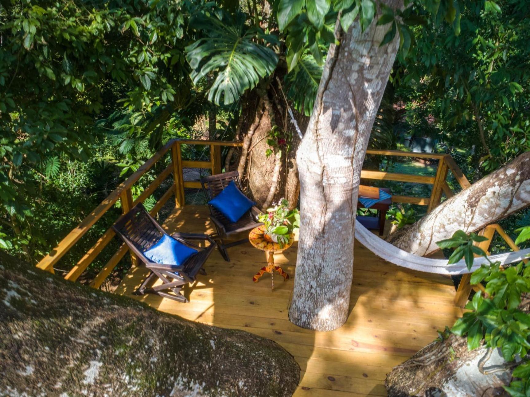 Sweet Songs Jungle Lodge サン・イグナシオ エクステリア 写真