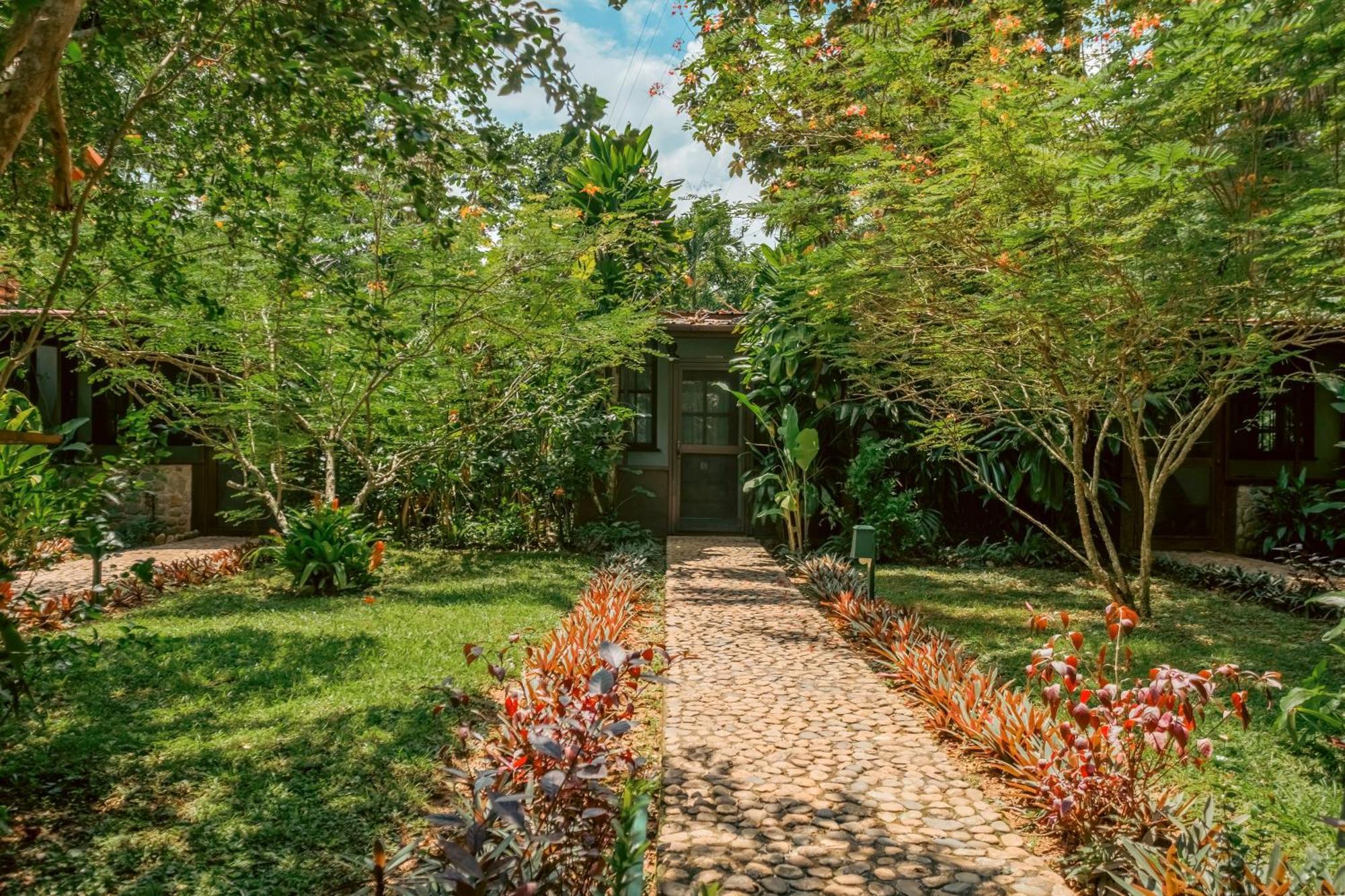 Sweet Songs Jungle Lodge サン・イグナシオ エクステリア 写真