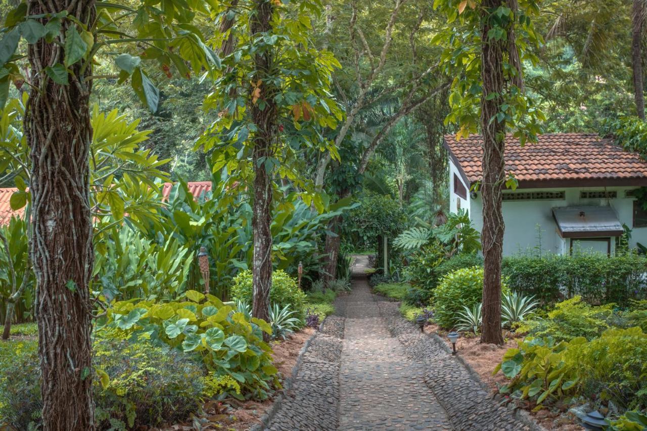 Sweet Songs Jungle Lodge サン・イグナシオ エクステリア 写真