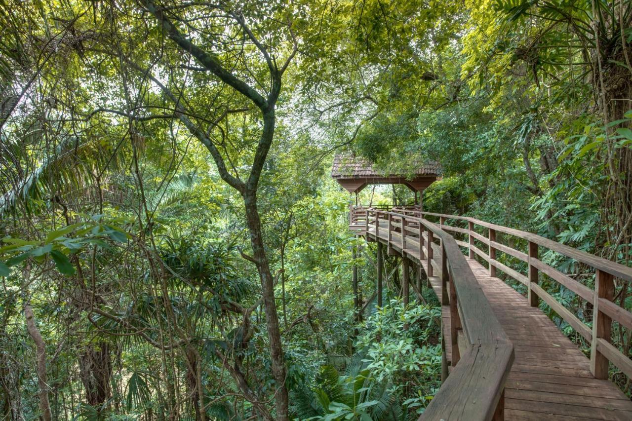 Sweet Songs Jungle Lodge サン・イグナシオ エクステリア 写真