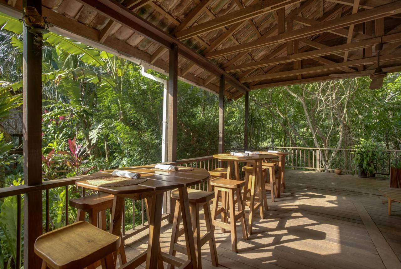 Sweet Songs Jungle Lodge サン・イグナシオ エクステリア 写真